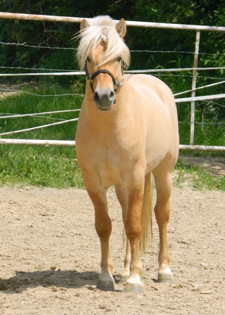 DSC_0136.JPG